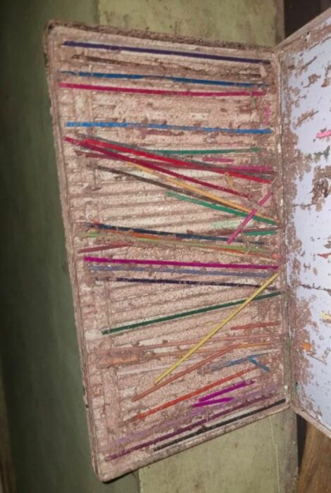 Lapices de colores cuya madera fue devorada por termitas las minas permanecen dentro del estuche