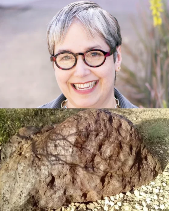 Meteorito el Ali y el homenaje que se le hizo a la porofesora Lindy Elkins-Tanton nombrando a uno de los nuevos elementos en su honor dos elementos nuevos encontrados en el noveno meteorito más grande del mundo