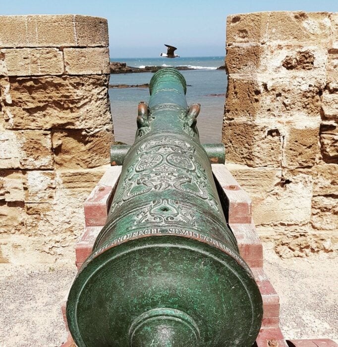 Objetivo en la mira gaviota pasando frente a la boca de un cañón en un fuerte costero