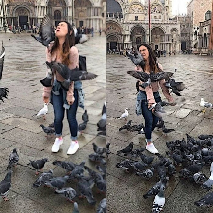 palomas atacando a una muchacha en la plaza