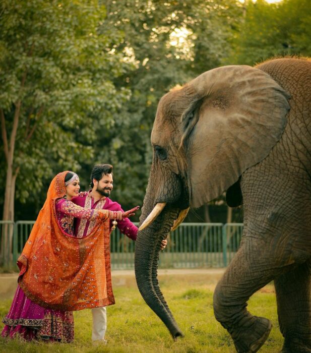 Azlan Shah y Warisha acariciando a la elefanta Malka de Karachi parque safari