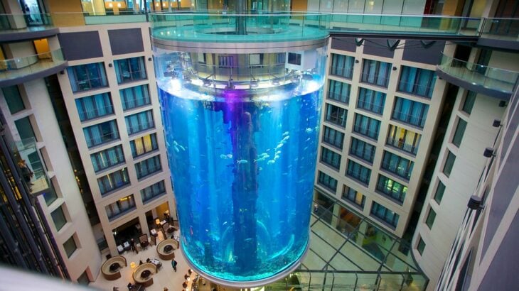 Aquadom en berlín el acuario cilíndrico más grande del mundo según los guiess