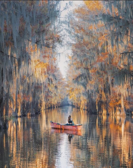 Paisaje del parque estatal caddo lake e texas mujer en una lancha rodeada por árboles