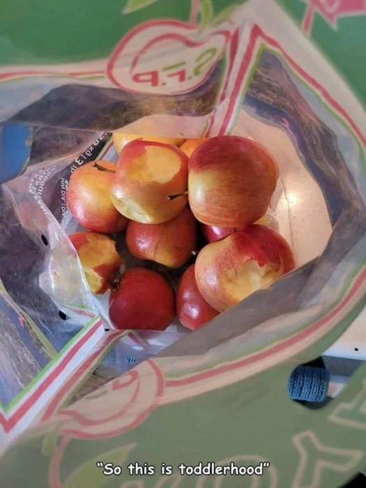 Una bolsa con las manzanas mordidas, cada una con unos pequeños dientes marcados