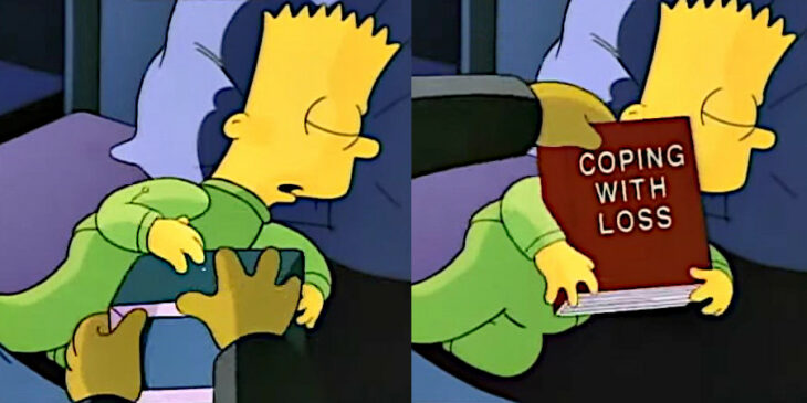 episodio de los simpson del cat burglar el gato ladrón le roban la televisión a bart y lo dejan co un libro de cómo enfrentar una pérdida