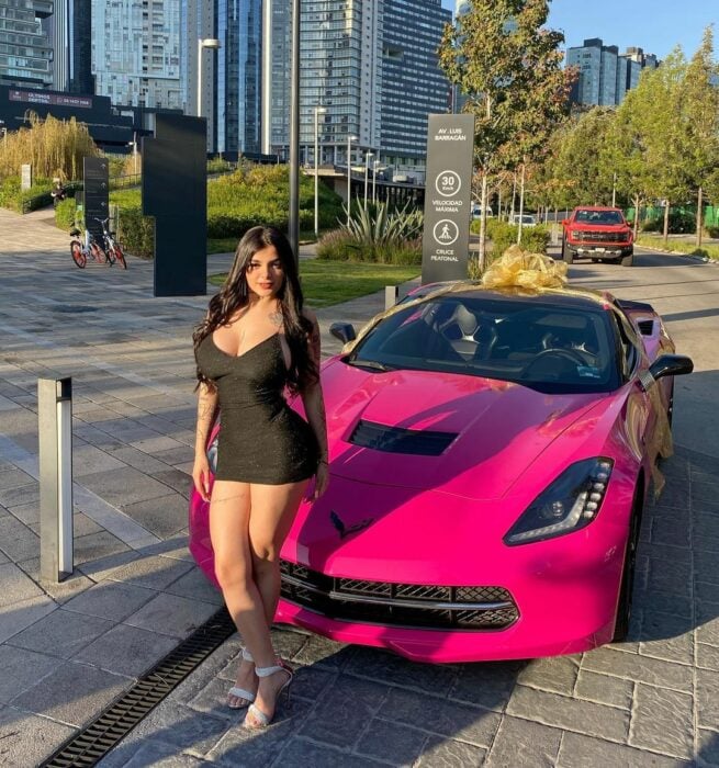 Carrazo de Barbie Karely Ruiz Chevrolet Corvette 20223 rosa