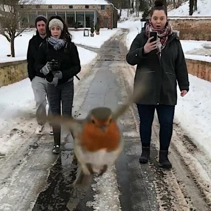 Un pájaro Metiéndose en la toma de tres j´óvenes en un paraje nevado