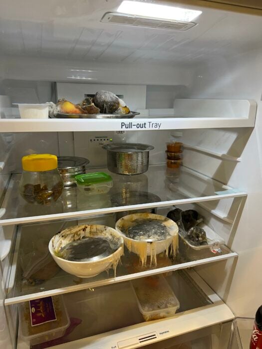 Refrigerador lleno de comida echada a perder