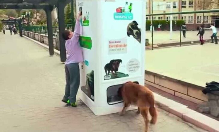 Comida para perro a cambio de reciclar plástico