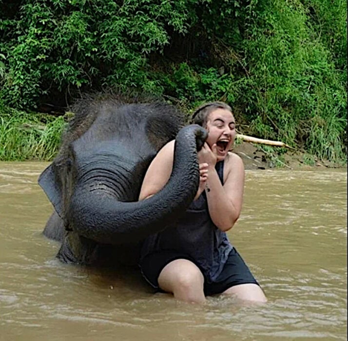 Elefante con chica en un río parece que la atraviesa con una estaca