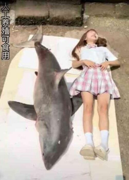 Influencer Tizi posando a lado de un tiburón blanco que después cocina e ingiere