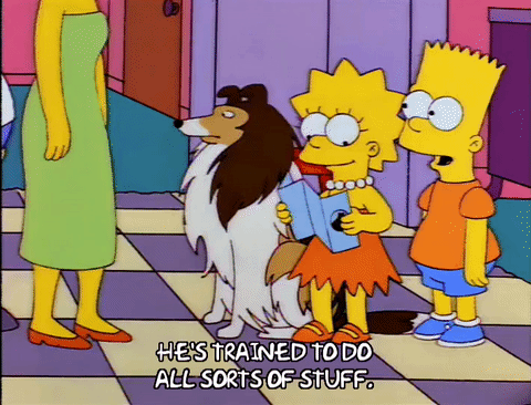 Laddie llega a la familia Simpson puede hacer todo tipo de cosas perro collie