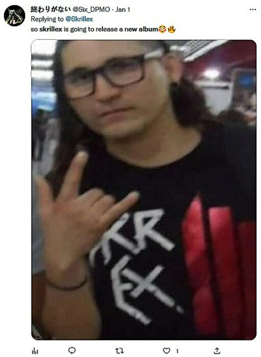 Meme Skrillex 11