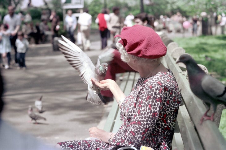 Señora con palomas en la plaza