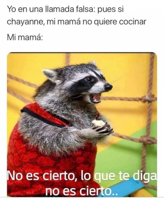 Meme Chayanne lo que te diga no es cierto