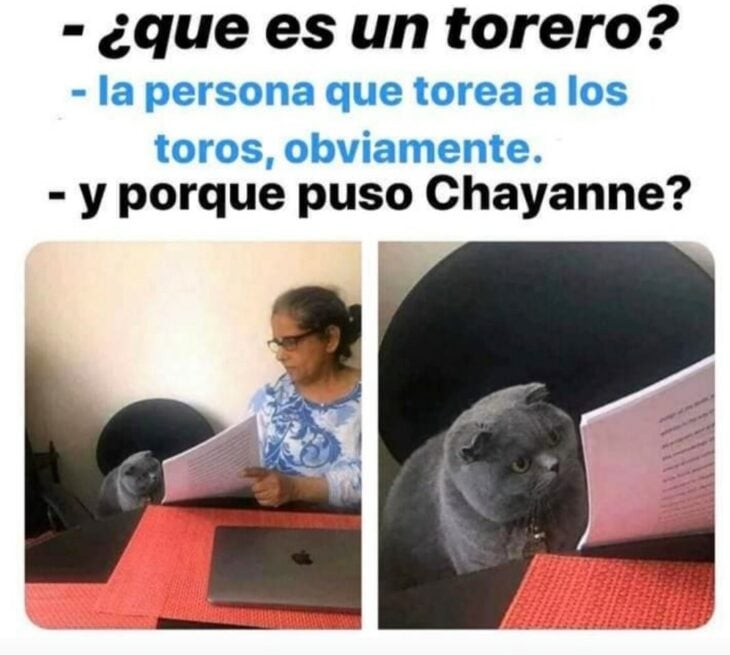 Meme Chayanne gatito en examen 