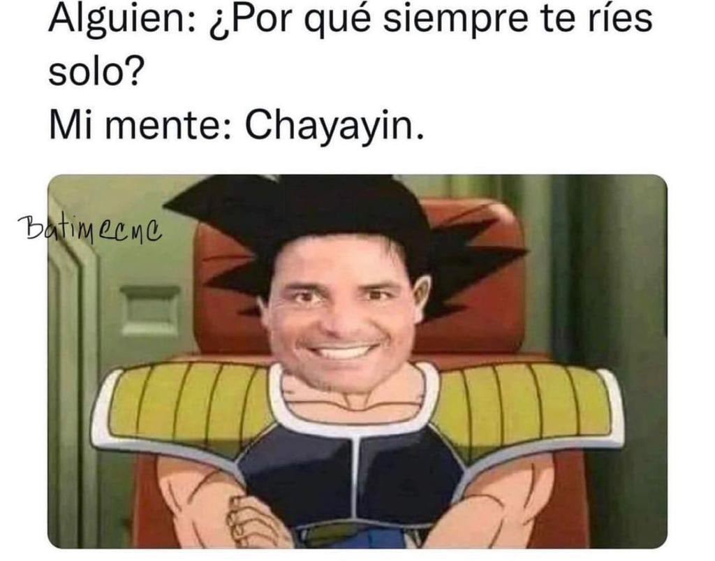 Chayanne pide que le manden memes y estos son los 15 mejores