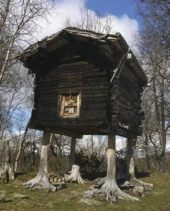 Una cabaña con patas