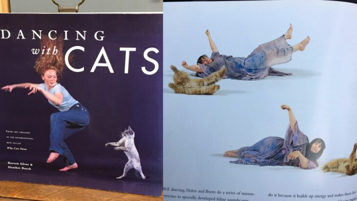 libro para bailar con tu gato