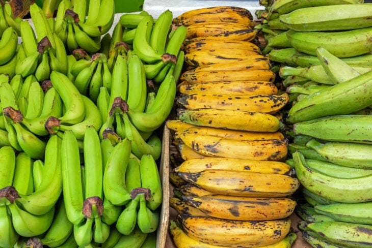Plátanos maduración