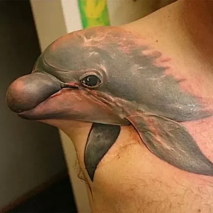Delfín tatuaje