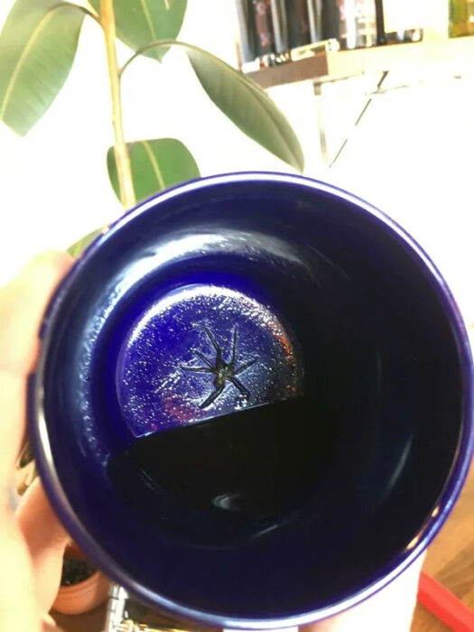 Araña al fondo de la taza