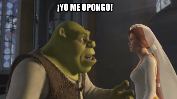 Meme Shrek