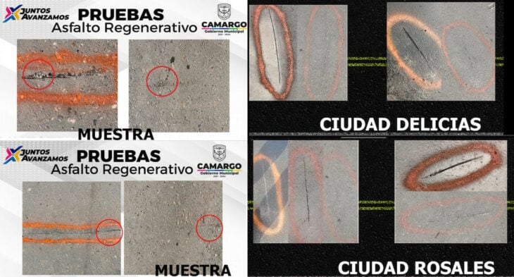 Muestras paflec