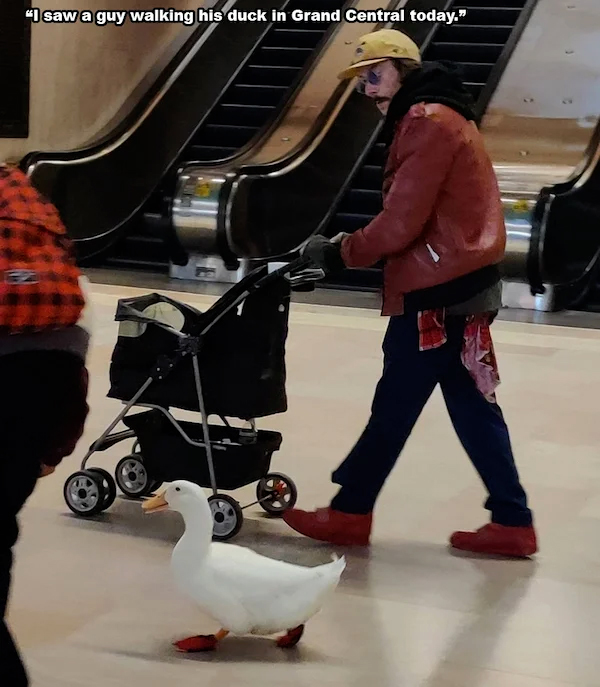 Un sujeto besando a su pato