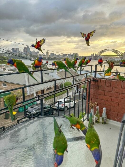 Balcón en Sídney, Australia