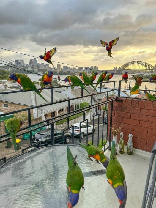 Balcón en Sídney, Australia