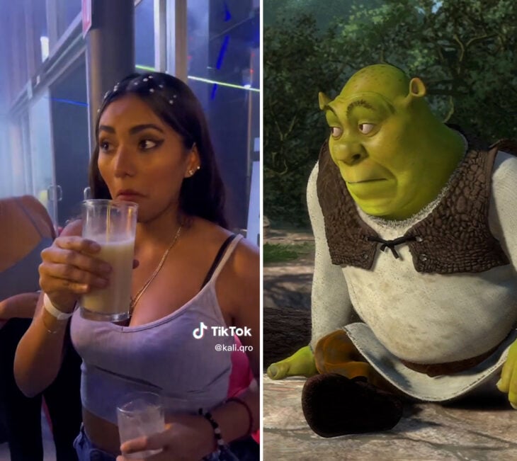 Meme Shrek