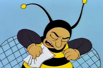 El abejorro cotorro estadísticas increíbles nota meme los simpson