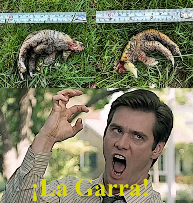 La garra Jim Carrey Meme