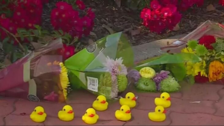 Flores y patitos