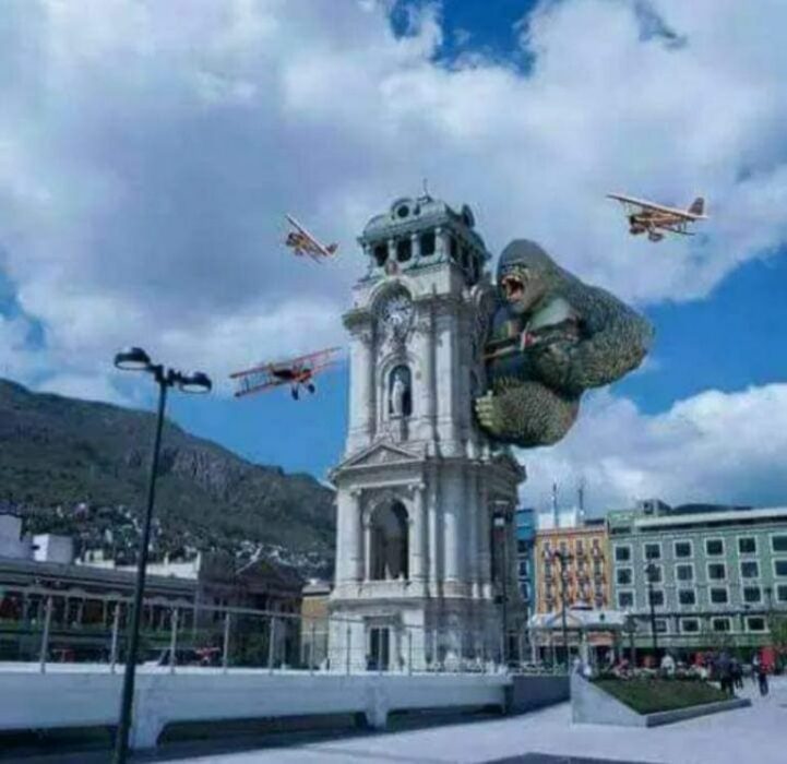 Memes por el avistamiento al gorila en Hidalgo