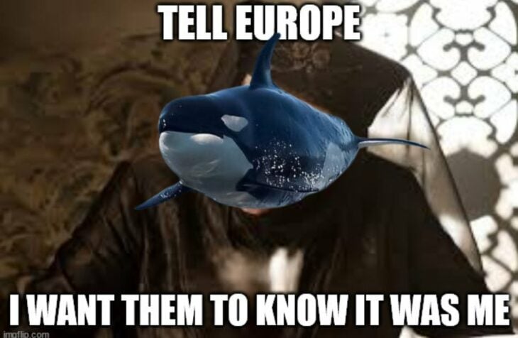 Orca europeaos gladis meme 15