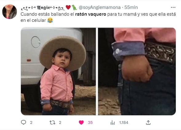 Memes sobre el ratón vaquero en el día de las madres