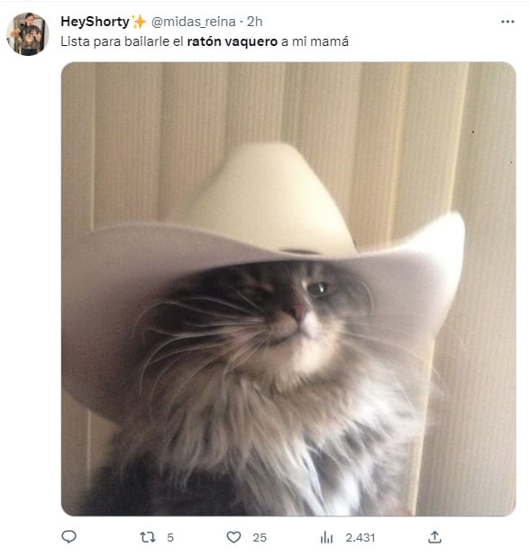 Memes sobre el ratón vaquero en el día de las madres