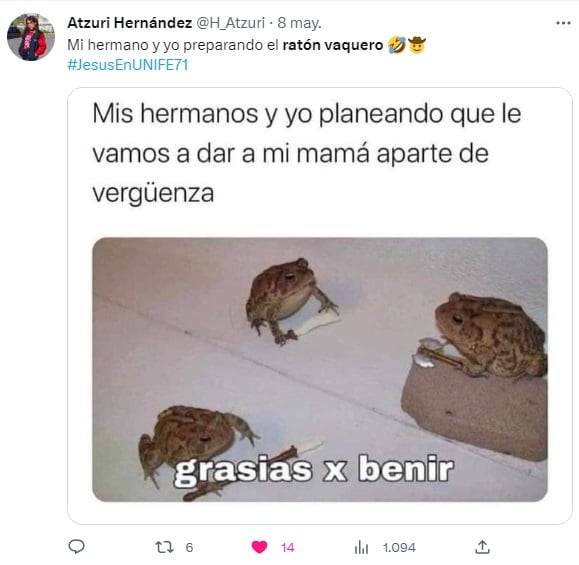 Memes sobre el ratón vaquero en el día de las madres