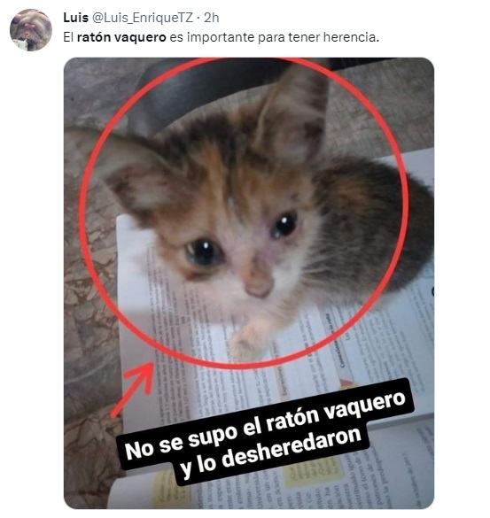 Memes sobre el ratón vaquero en el día de las madres