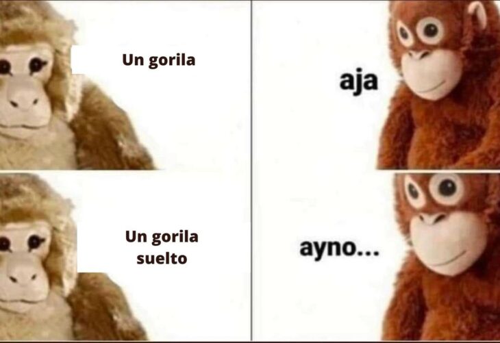 Memes por el avistamiento al gorila en Hidalgo