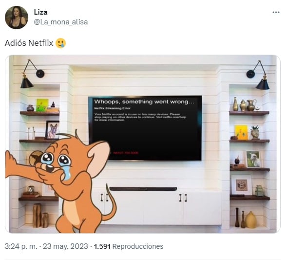 memes despidiendo a Netflix 7