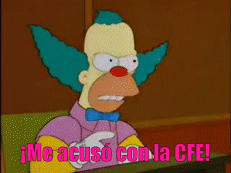 Meme Krusty CFE