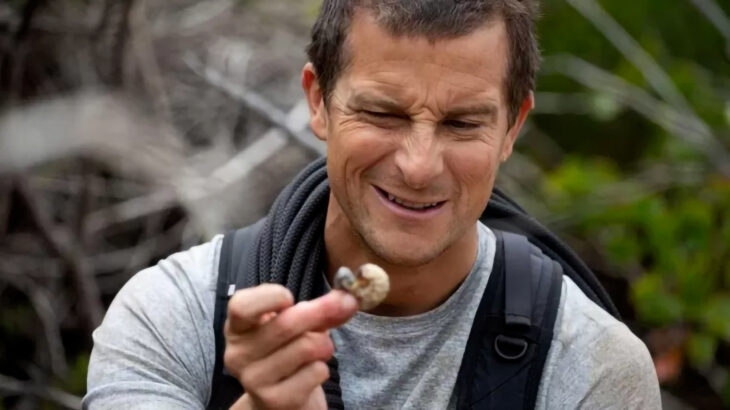 Bear Grylls comiendo insectos