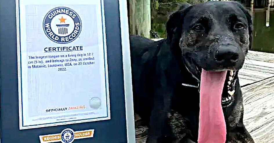Zoe batió el récord Guinness por tener la lengua más larga