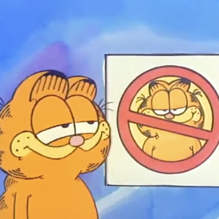 Garfield meme