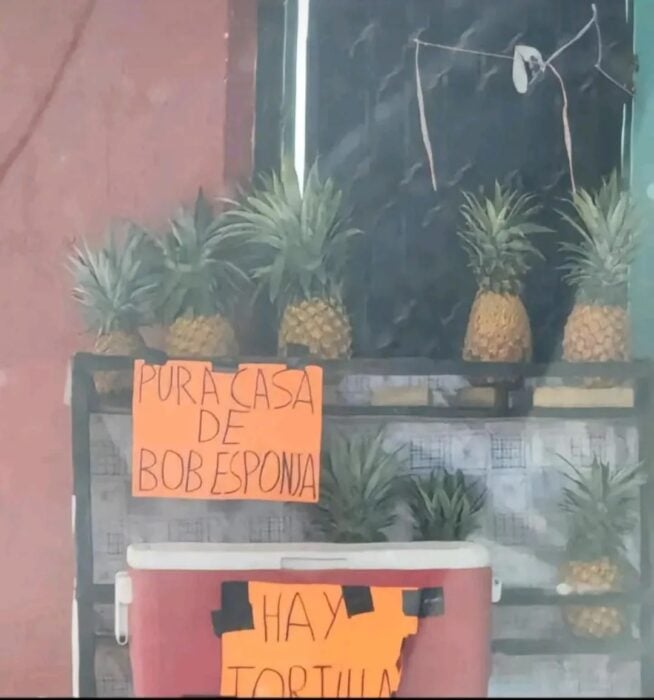 Venta de piñas 