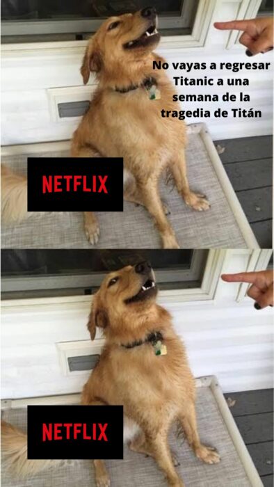 Meme perrito que sonríe cuando lo regañan