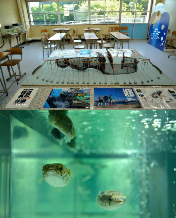 Acuario escolar exhibición